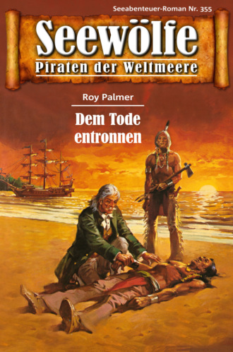 Roy Palmer. Seew?lfe - Piraten der Weltmeere 355