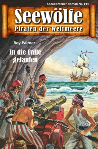 Roy Palmer. Seew?lfe - Piraten der Weltmeere 133