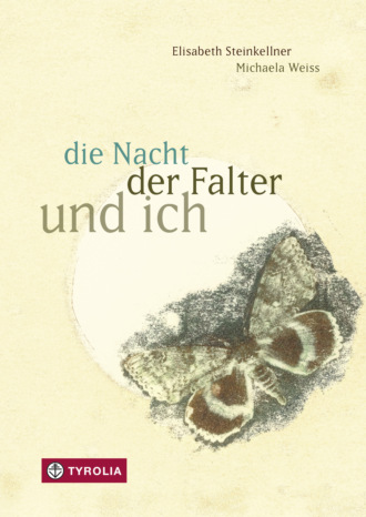 Elisabeth Steinkellner. die Nacht, der Falter und ich