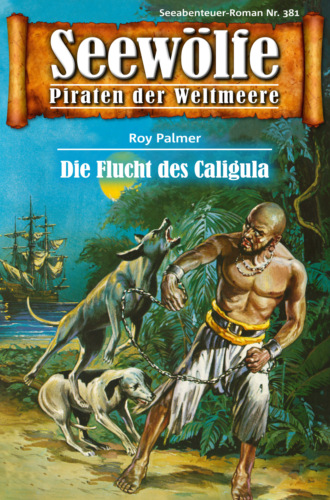 Roy Palmer. Seew?lfe - Piraten der Weltmeere 381