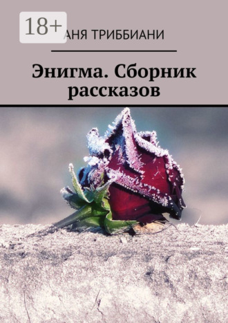 Обложка книги «Энигма. Сборник рассказов»