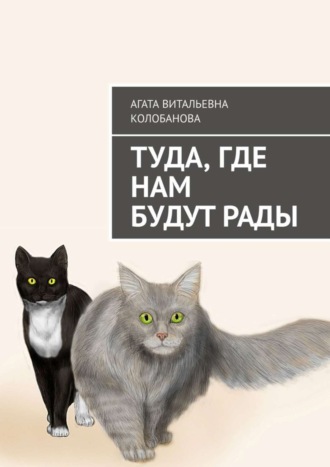Обложка книги «Туда, где нам будут рады»