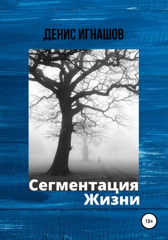 Обложка книги «Сегментация Жизни»