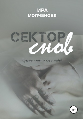 Обложка книги «Сектор снов»