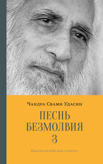 Обложка книги «Песнь безмолвия. Книга 3»