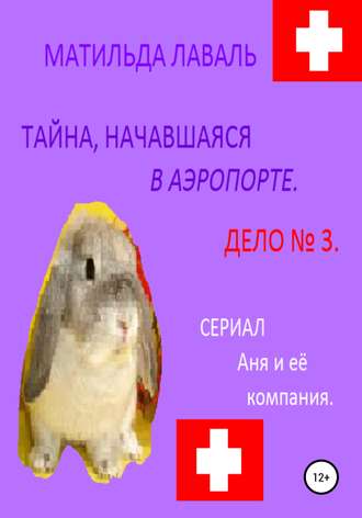 Обложка книги «Тайна, начавшаяся в аэропорту…»