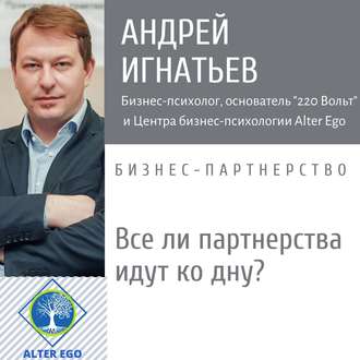 Обложка книги «Все ли бизнес-партнерства идут ко дну?»