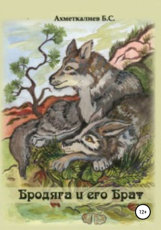 Обложка книги «Бродяга и его брат»