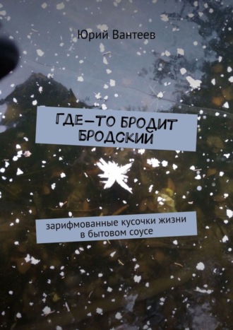 Юрий Вантеев. Где-то бродит Бродский. Зарифмованные кусочки жизни в бытовом соусе