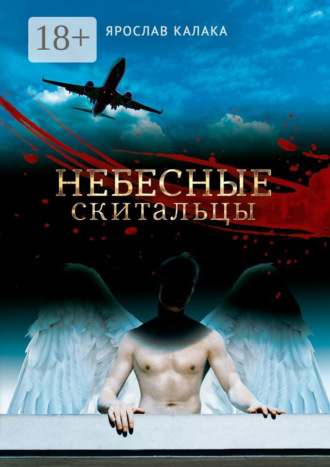 Обложка книги «Небесные скитальцы»