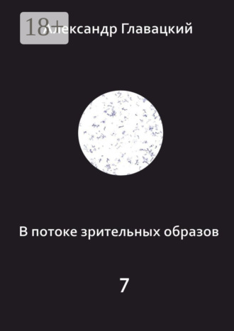Обложка книги «В потоке зрительных образов – 7»