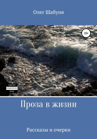 Обложка книги «Проза в жизни»