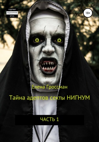 Обложка книги «Тайна адептов секты «Нигнум»»