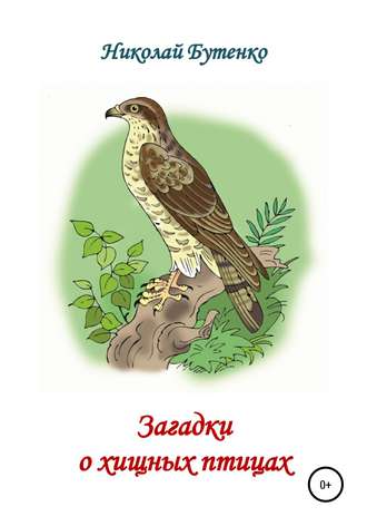 Обложка книги «Загадки о хищных птицах»