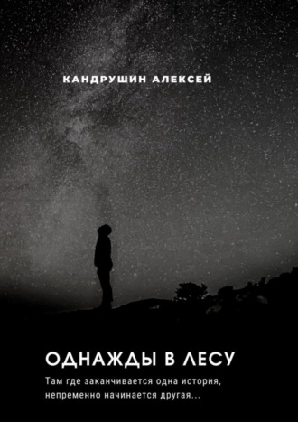 Обложка книги «Однажды в лесу. Там где начинается одна история, непременно начинается другая…»