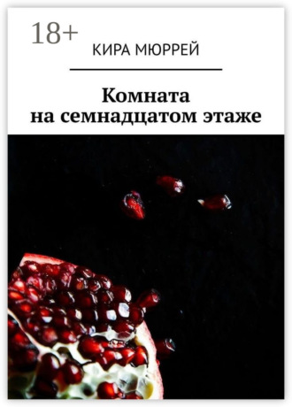 Обложка книги «Комната на семнадцатом этаже»