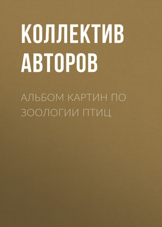 Обложка книги «Альбом картин по зоологии птиц»