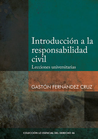 Gast?n Fern?ndez. Introducci?n a la responsabilidad civil