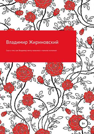 Обложка книги «Сказ о том, как Владимир мечту мальчика-с-пальчик исполнил»