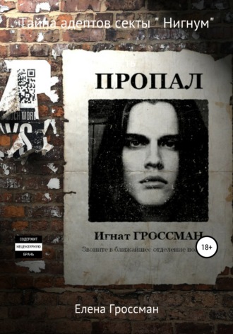 Обложка книги «Тайна адептов секты «Нигнум». Часть 2»