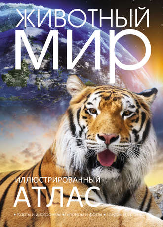 Обложка книги «Иллюстрированный атлас. Животный мир»