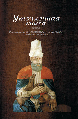 Обложка книги «Утопленная книга. Размышления Бахауддина, отца Руми, о небесном и земном»