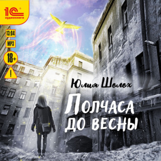 Обложка книги «Полчаса до весны»