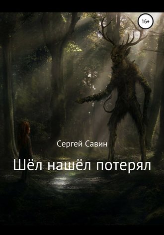 Обложка книги «Шёл нашёл потерял»