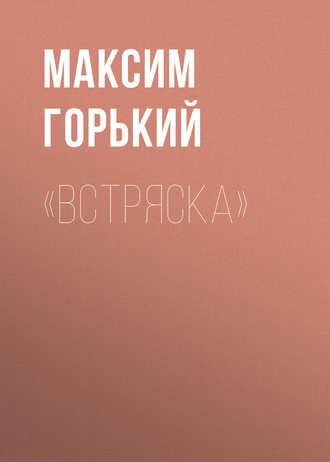 Обложка книги ««Встряска»»