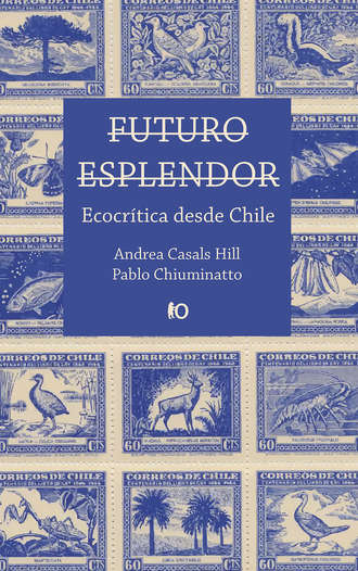 Andrea Casals Hill. Futuro esplendor