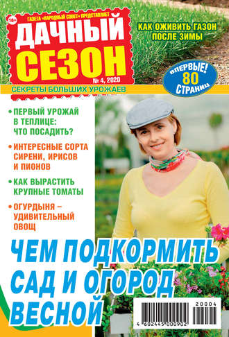 Обложка книги «Дачный сезон №04/2020»