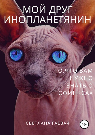 Обложка книги «Мой друг инопланетянин. То, что вам нужно знать о сфинксах»