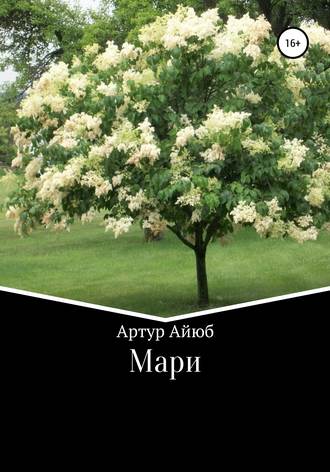 Обложка книги «Мари»