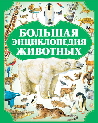 Обложка книги «Большая энциклопедия животных»