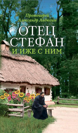 Обложка книги «Отец Стефан и иже с ним»