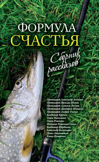 Обложка книги «Формула счастья. Сборник рассказов»