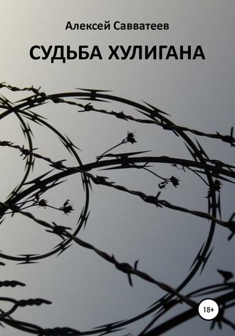 Обложка книги «Судьба хулигана»