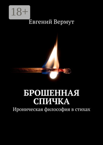 Обложка книги «Брошенная спичка. Ироническая философия в стихах»