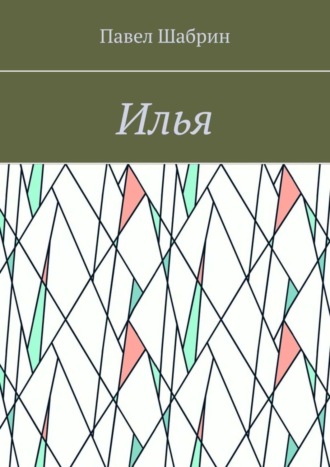 Обложка книги «Илья»