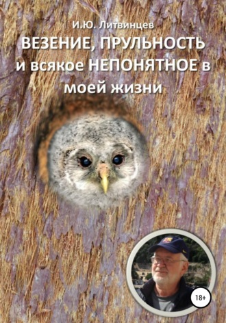 Игорь Юрьевич Литвинцев. Везение, прульность и всякое непонятное в моей жизни