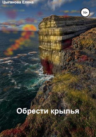 Обложка книги «Обрести крылья»