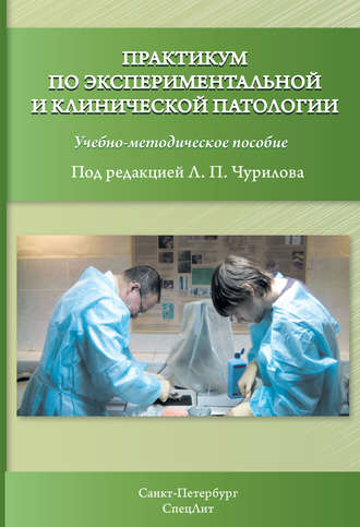Обложка книги «Практикум по экспериментальной и клинической патологии»