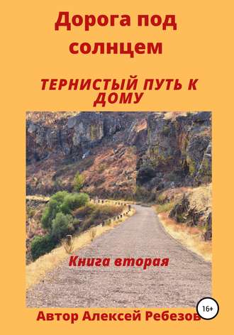 Обложка книги «Дорога под солнцем. Книга вторая. Тернистый путь к дому»