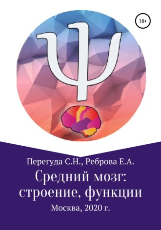 Обложка книги «Средний мозг: строение и функции»