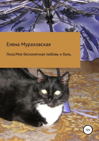 Обложка книги «Лиза. Моя бесконечная любовь и боль»
