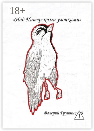 Обложка книги «Над питерскими улочками»