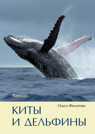Обложка книги «Киты и дельфины»