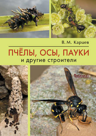 Владимир Карцев. Пчёлы, осы, пауки и другие строители