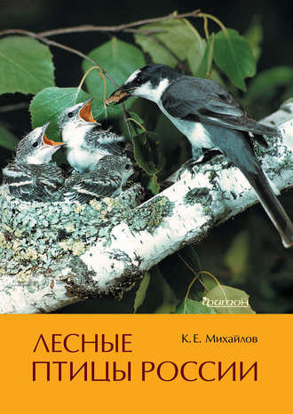 Обложка книги «Лесные птицы России»
