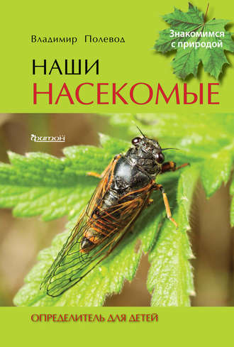 Обложка книги «Наши насекомые. Определитель для детей»